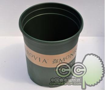 桶形花盆(F160)绿色塑料|加仑盆|印花|外贸