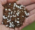 食虫植物专用培养土（1升）营养土|栽培基质|珍珠岩进口泥炭水苔